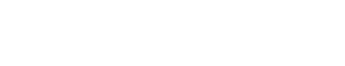 Chinchilla